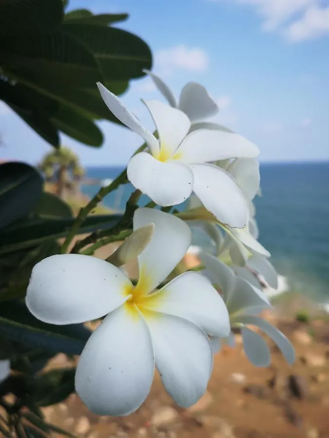 Cherai Lake Resort Cherai Beach
