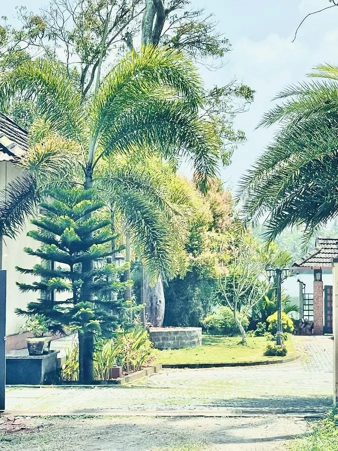Cherai Lake Resort Cherai Beach